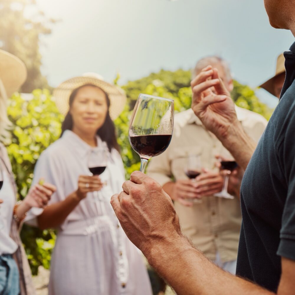 Vineyard,,People,And,Learning,As,Friends,With,Wine,Glass,For Vineyard, people and learning as friends with wine glass for tasting, drinking and break in France. Farm, outdoor and together with sommelier on alcohol with bonding, support and holiday to relax